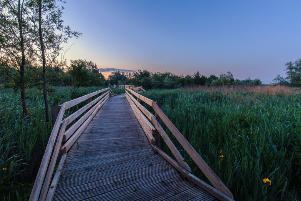 Passerelle en bois PMR dans la Réserve du Romelaëre (Clairmarais)
